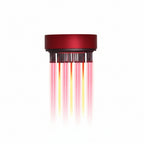 Scalp Massage Brush with Oil Applicator